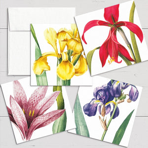 Note Cards Flores Varias 3.5X3.5