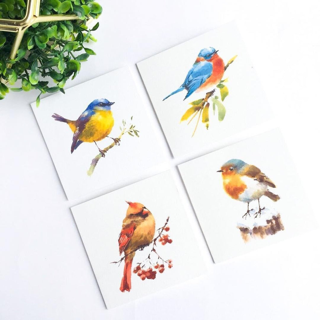 Note Cards Pájaros Acuarela 3.5X3.5