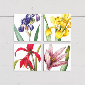 Gift Tags Flores Varias 2.5X2.5