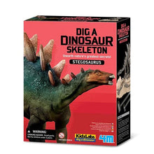 Cargar imagen en el visor de la galería, Esqueleto De Estegosaurio - Dig A Dinosaur Stegosaurus
