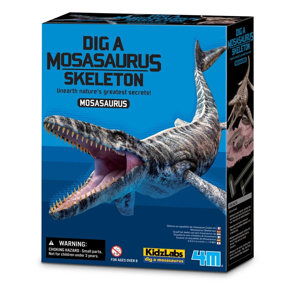 Esqueleto De Mosasaurio - Dig A Mosasaurus Skeleton