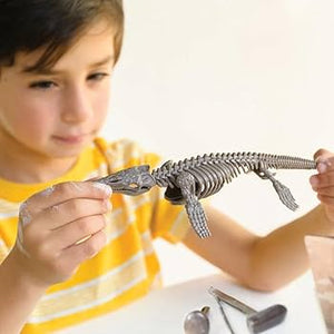 Esqueleto De Mosasaurio - Dig A Mosasaurus Skeleton