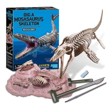Cargar imagen en el visor de la galería, Esqueleto De Mosasaurio - Dig A Mosasaurus Skeleton
