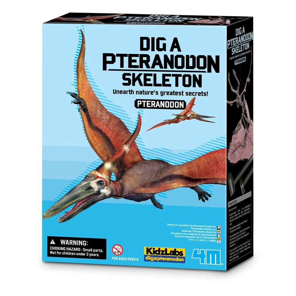 Esqueleto De Pteranodon- Dig A Pteranodon Skeleton
